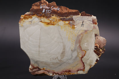 Willow Creek Jasper slab (Unpolished)
