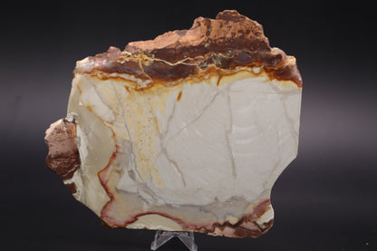 Willow Creek Jasper slab (Unpolished)