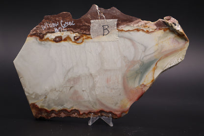 Willow Creek Jasper slab (Unpolished)