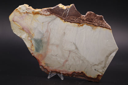 Willow Creek Jasper slab (Unpolished)