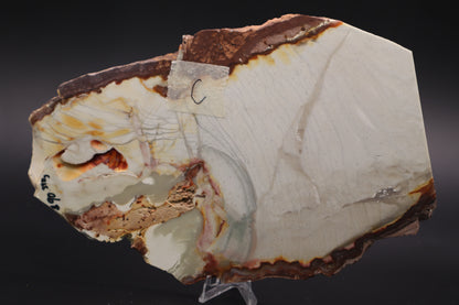 Willow Creek Jasper slab (Unpolished)