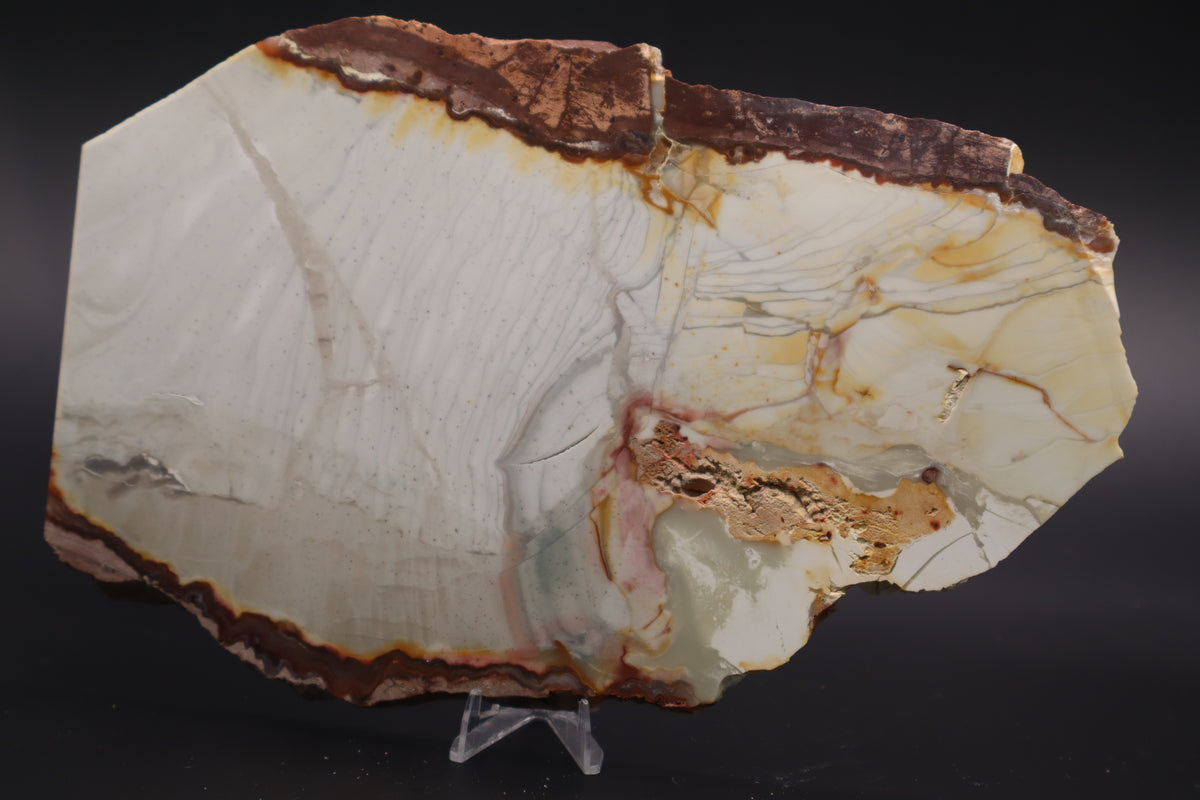 Willow Creek Jasper slab (Unpolished)