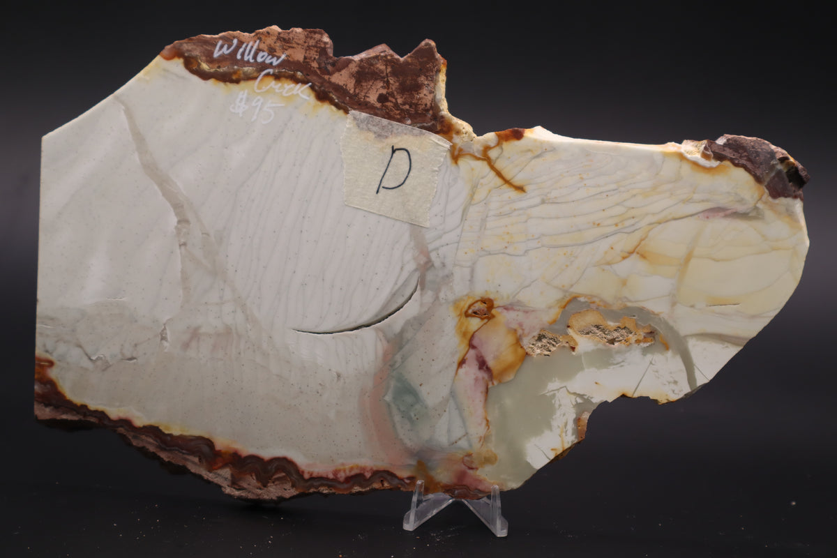 Willow Creek Jasper slab (Unpolished)