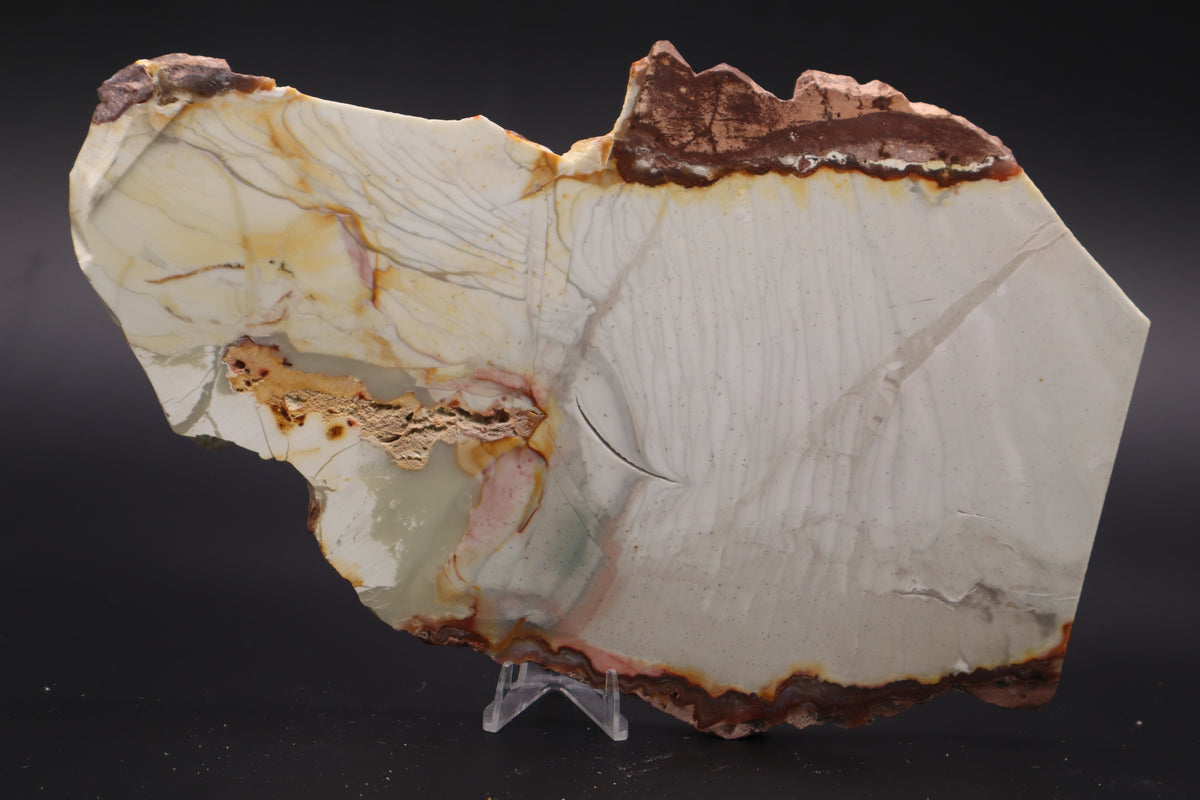 Willow Creek Jasper slab (Unpolished)