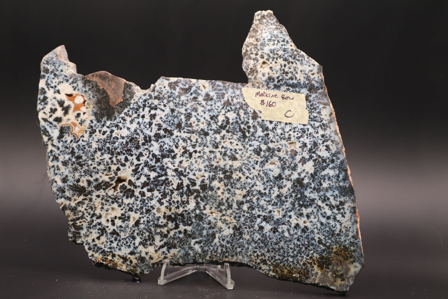Medicine Bow Agate slab (Unpolished)