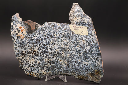 Medicine Bow Agate slab (Unpolished)