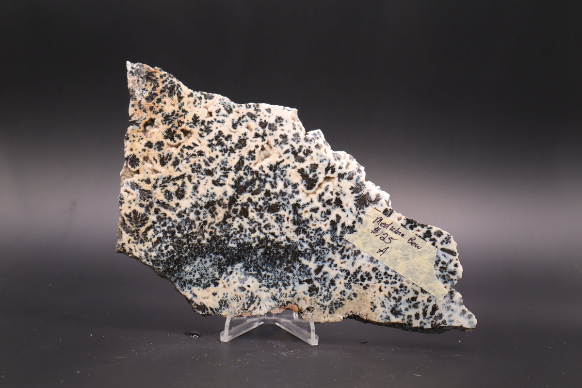 Medicine Bow Agate slab (Unpolished)