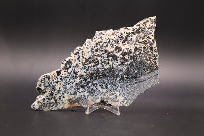 Medicine Bow Agate slab (Unpolished)
