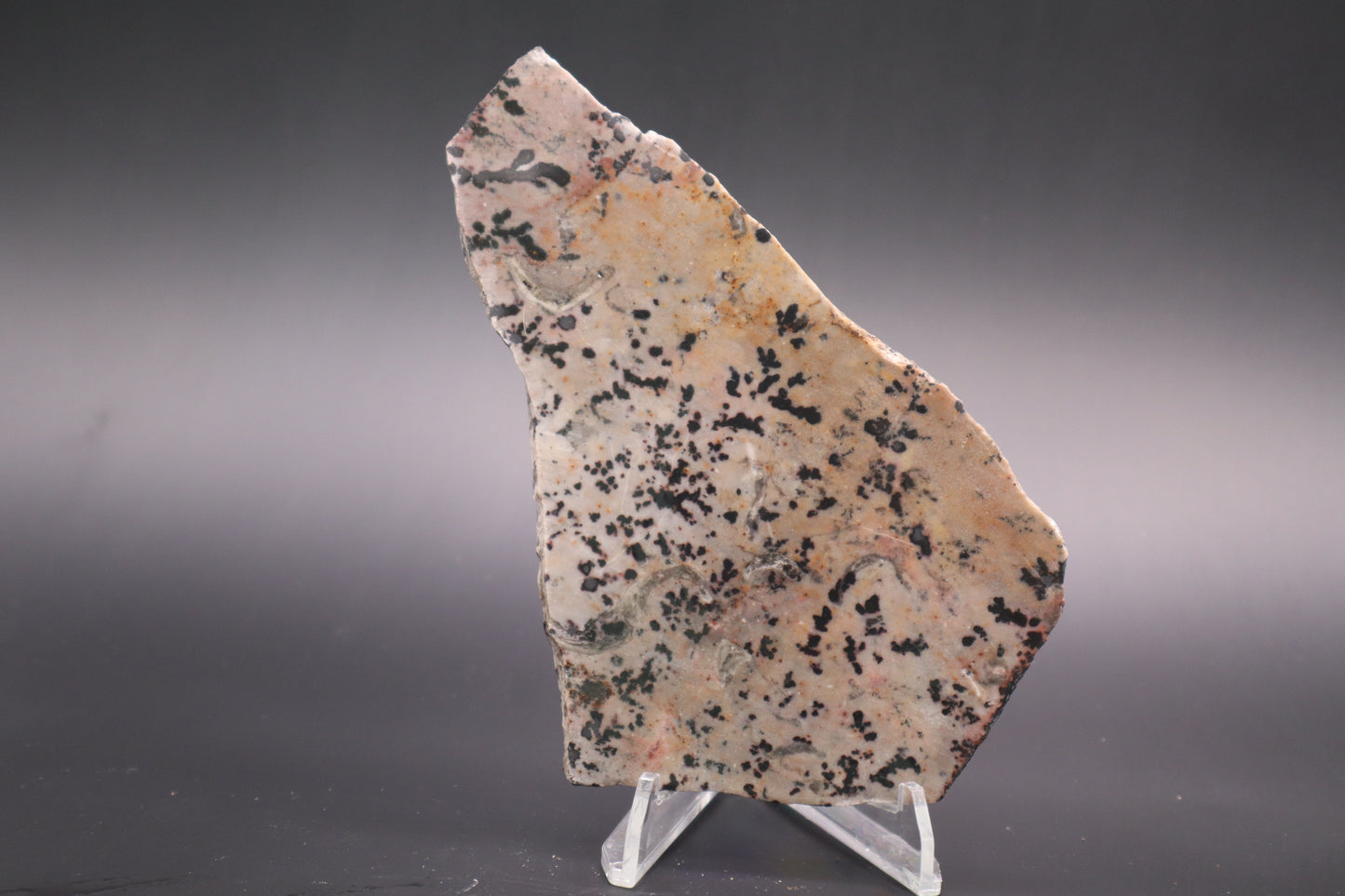 Dendritic Jasper slab (Unpolished)