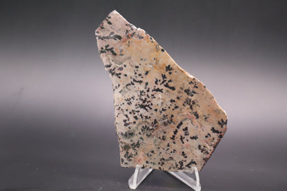Dendritic Jasper slab (Unpolished)