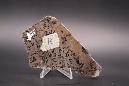 Dendritic Jasper slab (Unpolished)