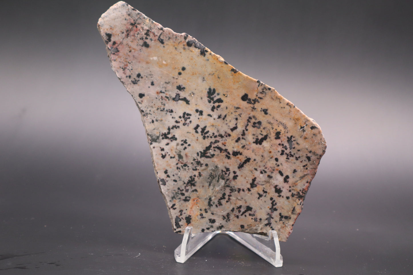 Dendritic Jasper slab (Unpolished)