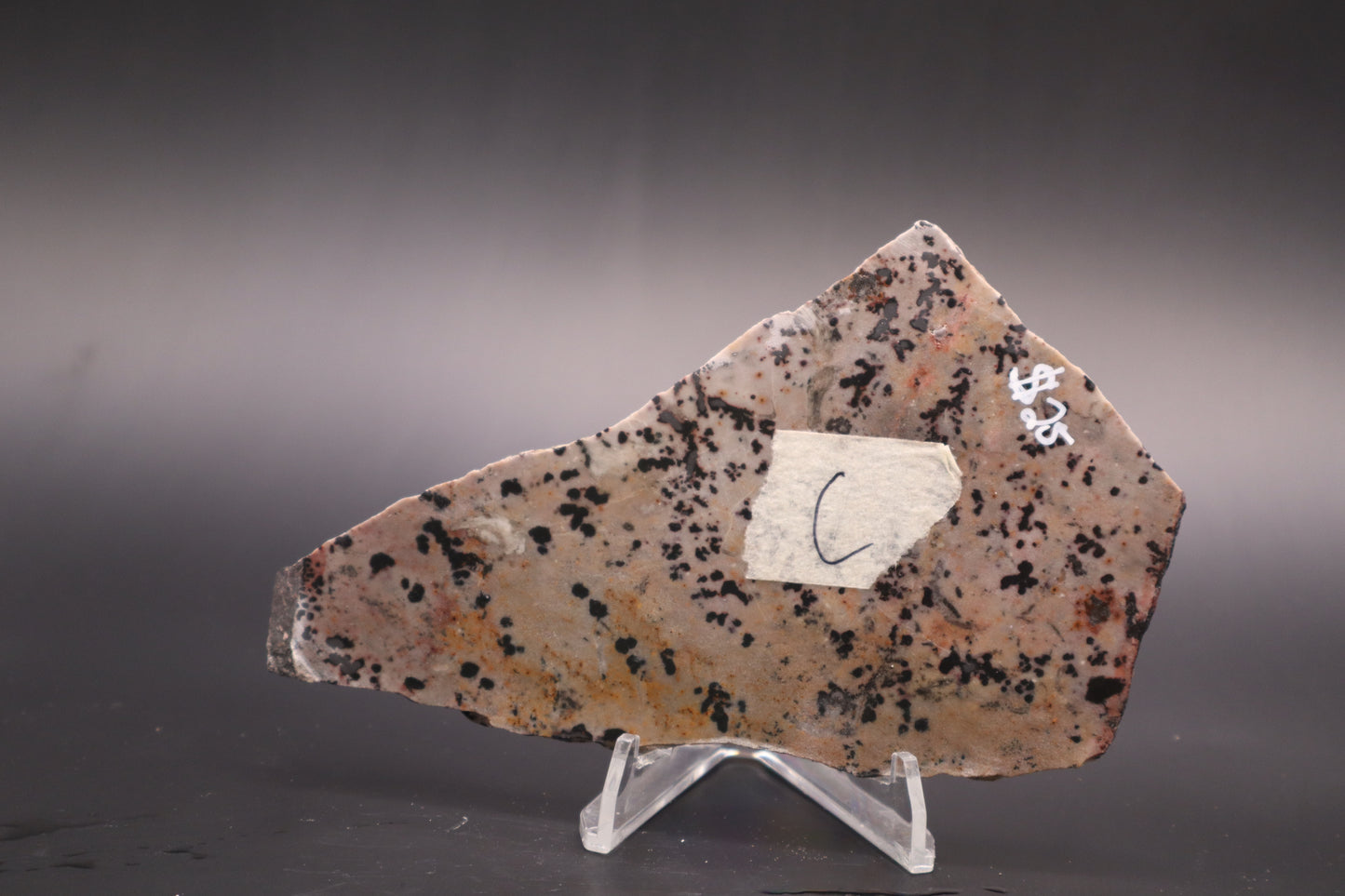 Dendritic Jasper slab (Unpolished)
