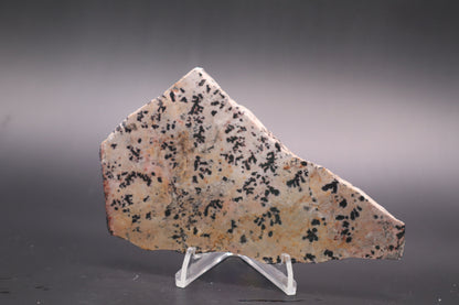 Dendritic Jasper slab (Unpolished)