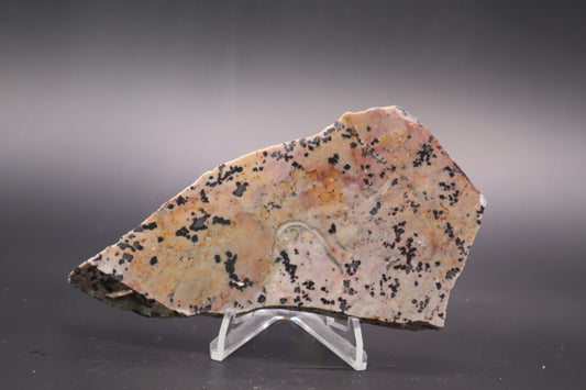 Dendritic Jasper slab (Unpolished)