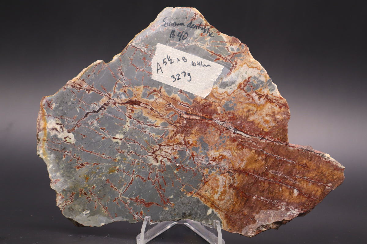 Sonora Dendritic Jasper slab (Unpolished)