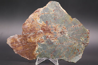 Sonora Dendritic Jasper slab (Unpolished)