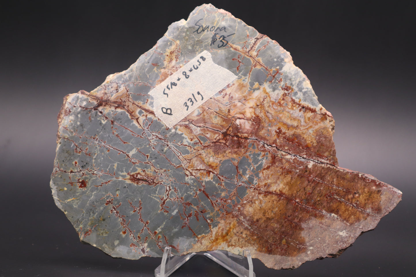 Sonora Dendritic Jasper slab (Unpolished)