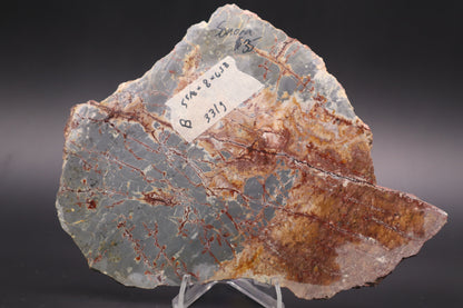 Sonora Dendritic Jasper slab (Unpolished)