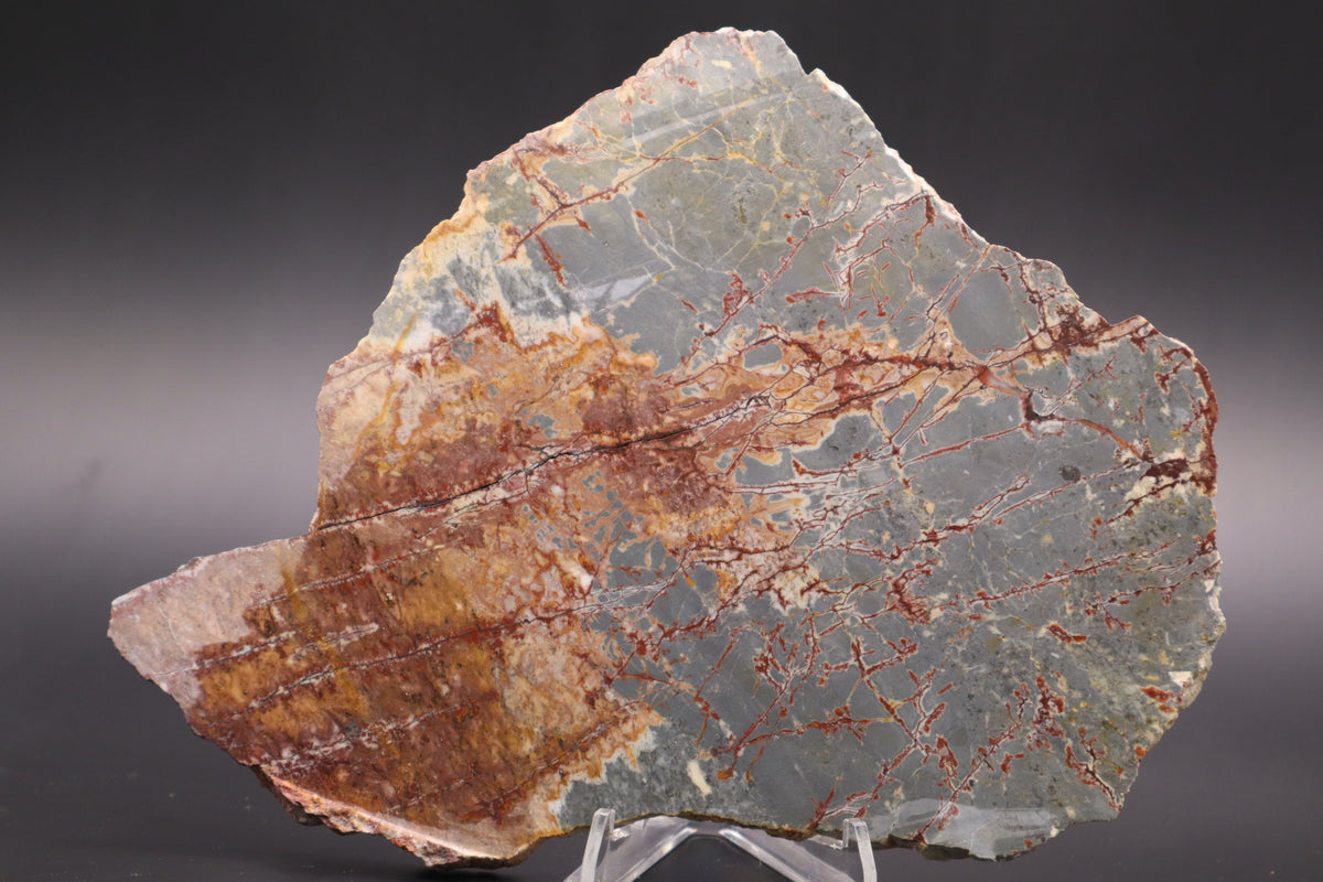 Sonora Dendritic Jasper slab (Unpolished)