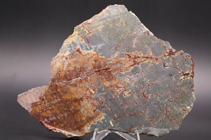 Sonora Dendritic Jasper slab (Unpolished)