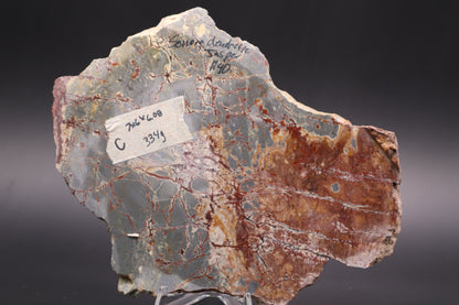 Sonora Dendritic Jasper slab (Unpolished)