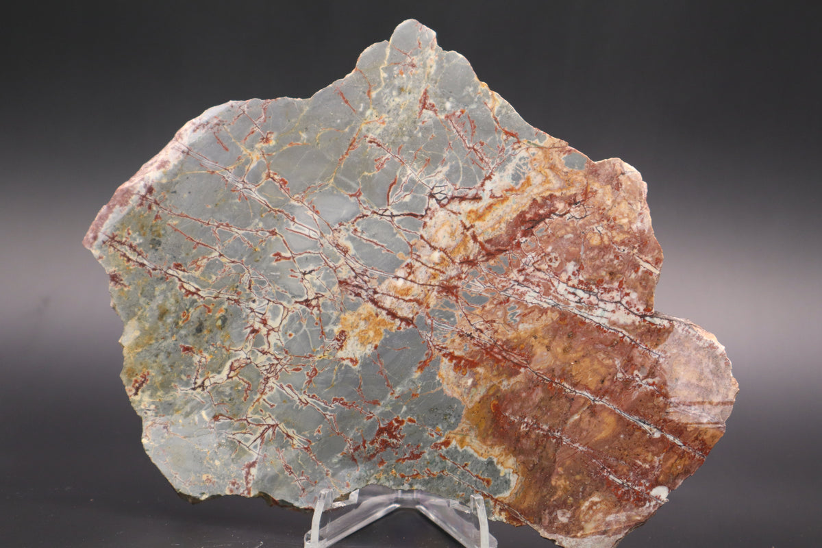 Sonora Dendritic Jasper slab (Unpolished)