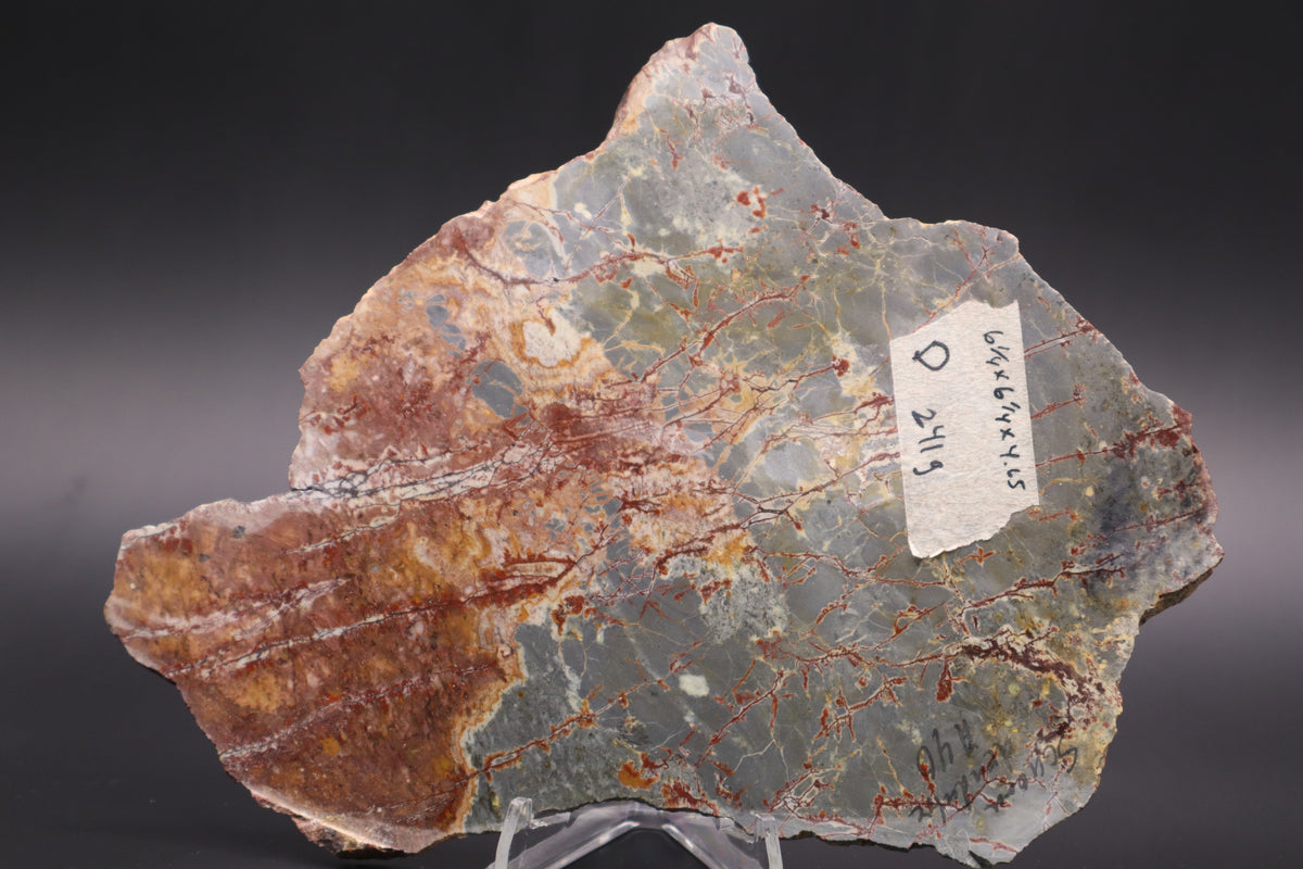 Sonora Dendritic Jasper slab (Unpolished)