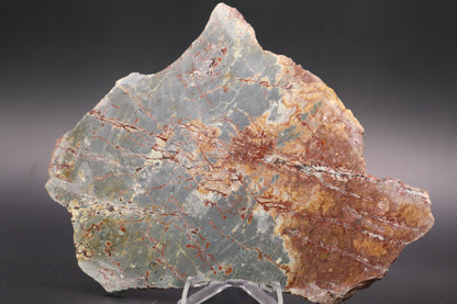 Sonora Dendritic Jasper slab (Unpolished)