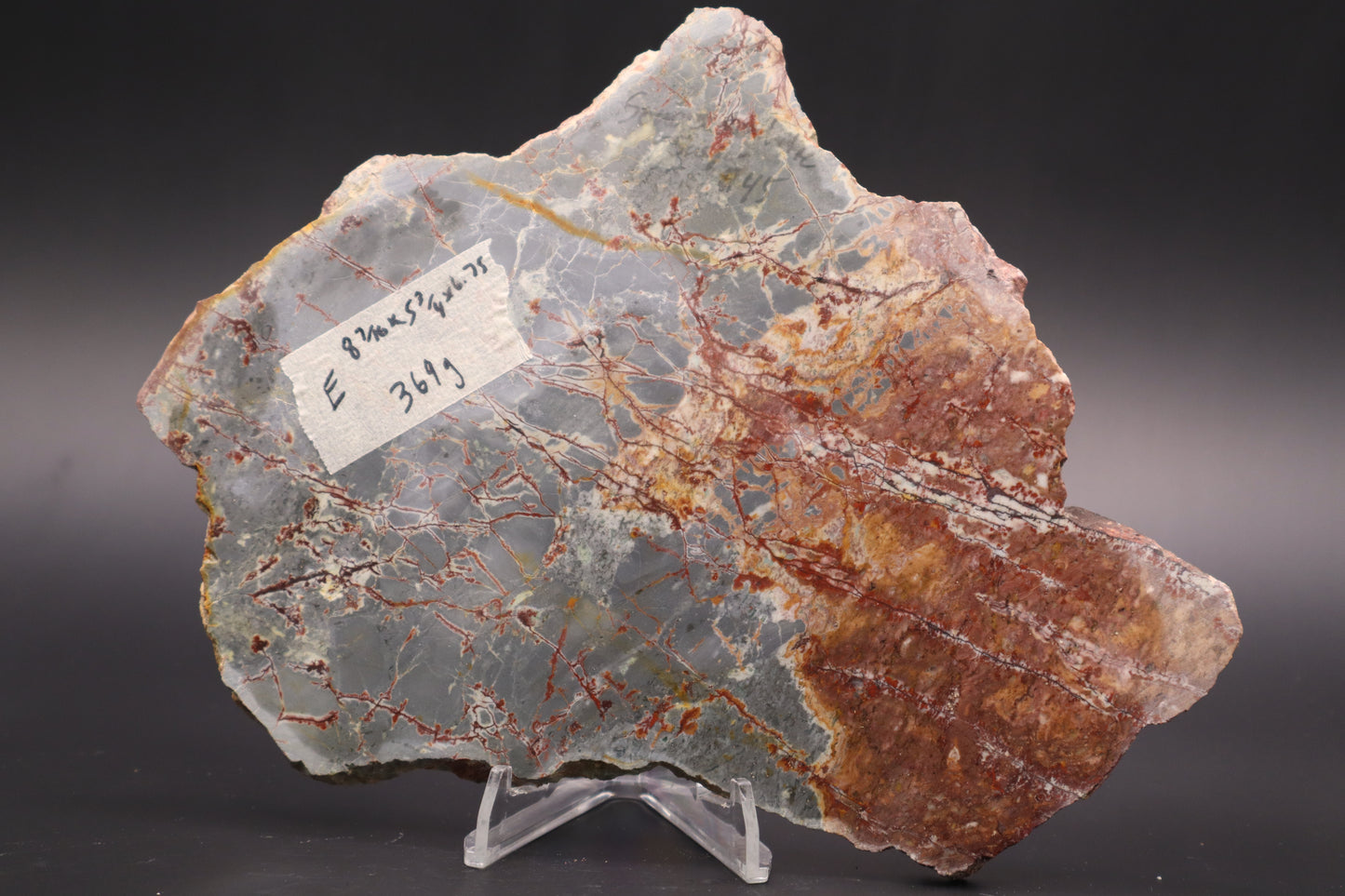 Sonora Dendritic Jasper slab (Unpolished)
