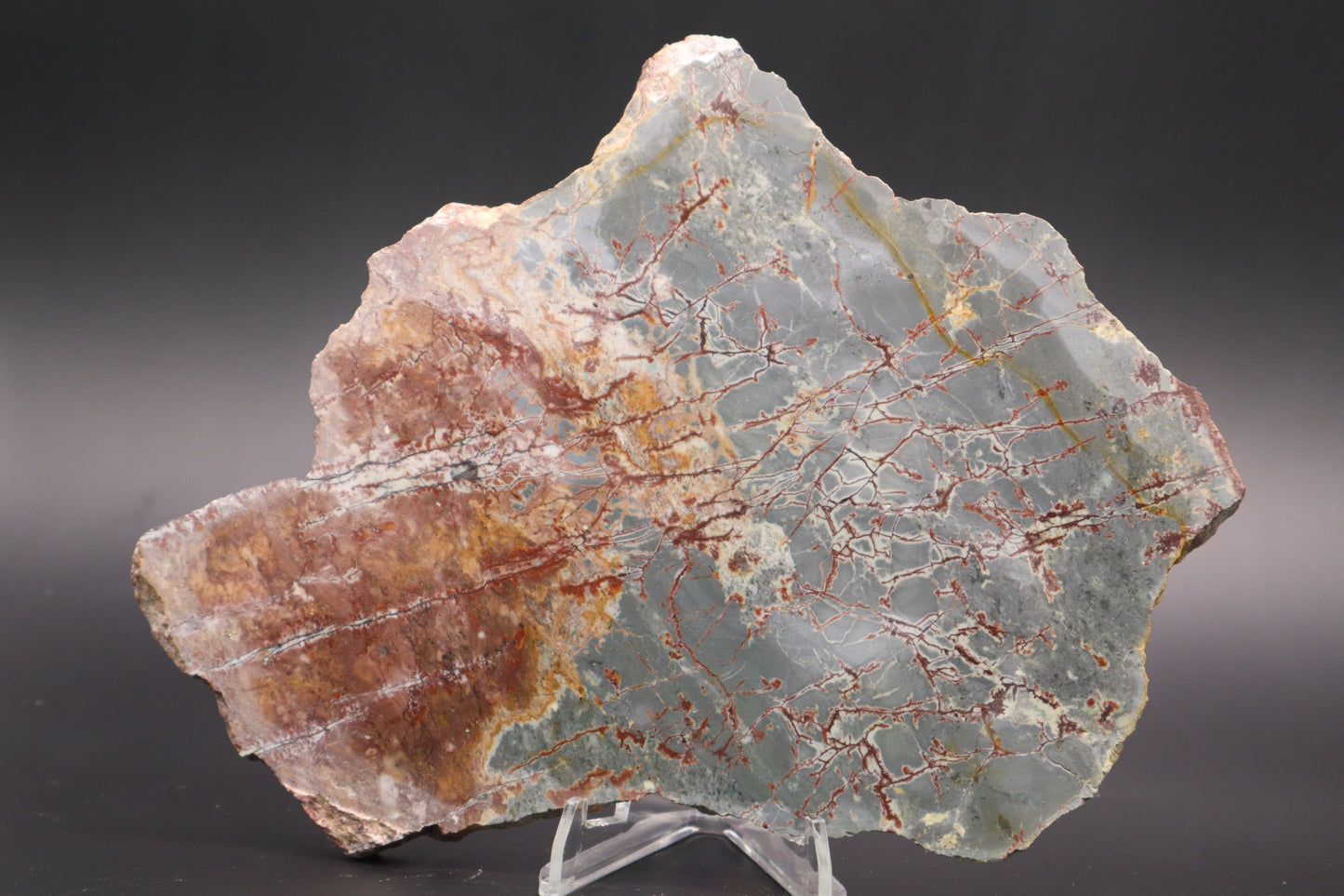 Sonora Dendritic Jasper slab (Unpolished)