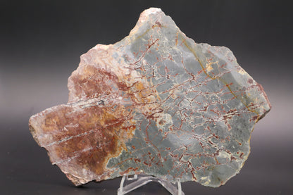 Sonora Dendritic Jasper slab (Unpolished)