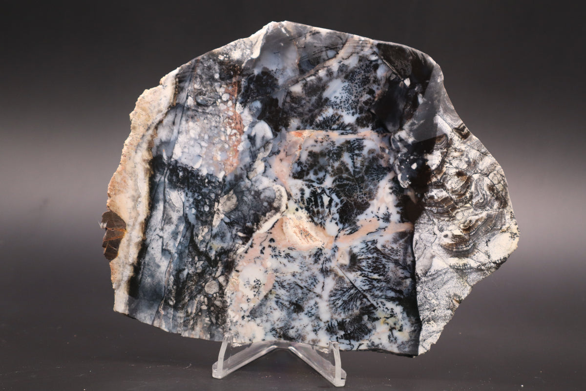 Parral Dendritic Agate slab (Unpolished)