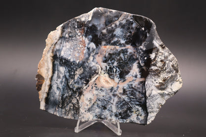 Parral Dendritic Agate slab (Unpolished)