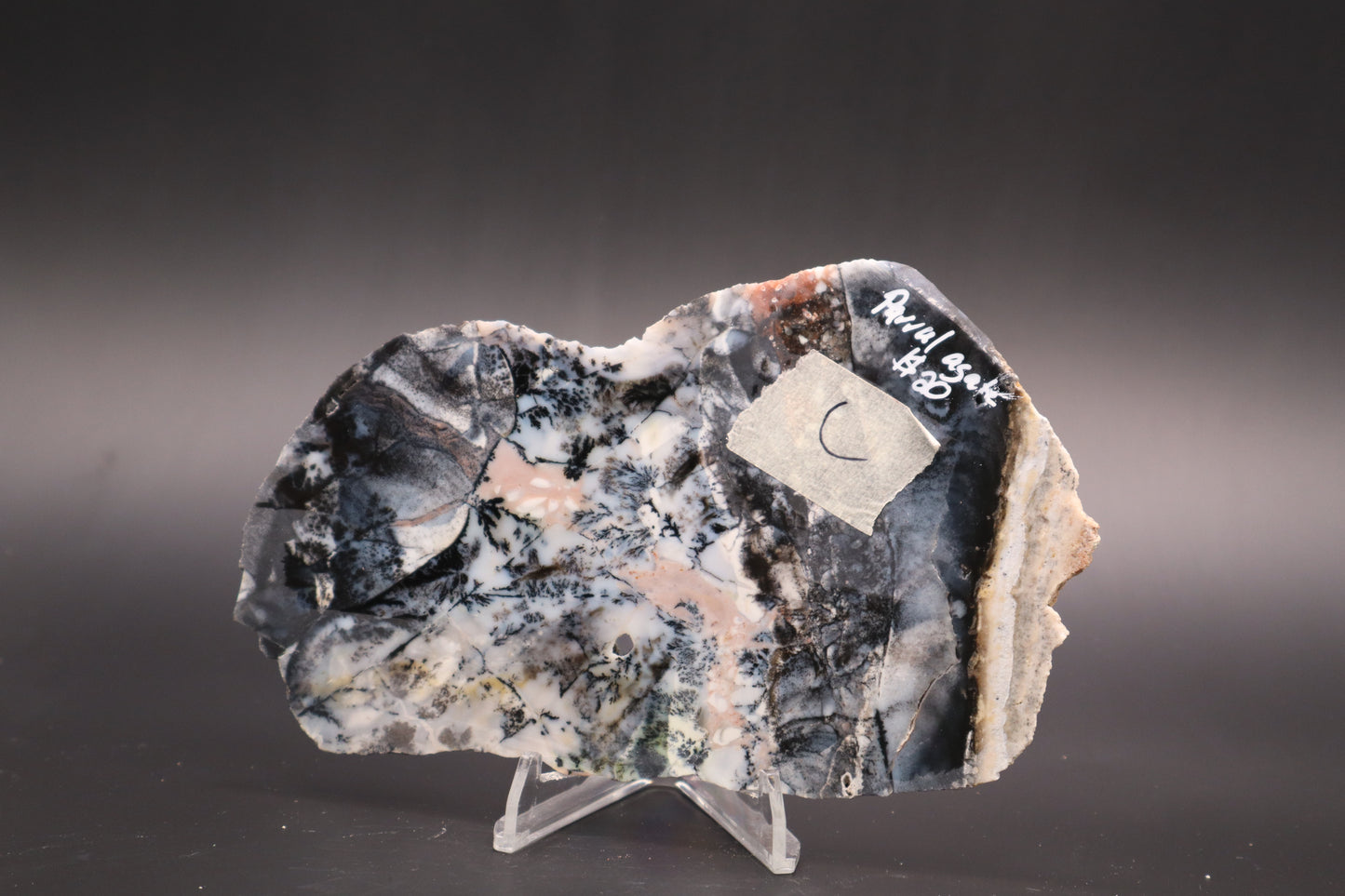 Parral Dendritic Agate slab (Unpolished)