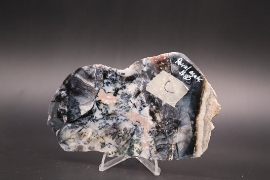 Parral Dendritic Agate slab (Unpolished)