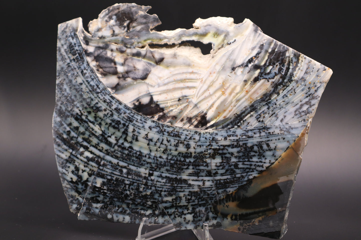 Parral Dendritic Agate slab (Unpolished)