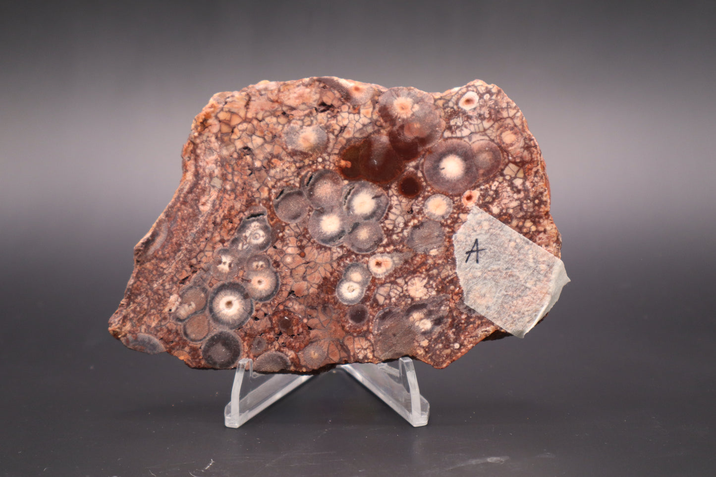Mexican Birdseye Jasper slab (Unpolished)