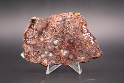 Mexican Birdseye Jasper slab (Unpolished)