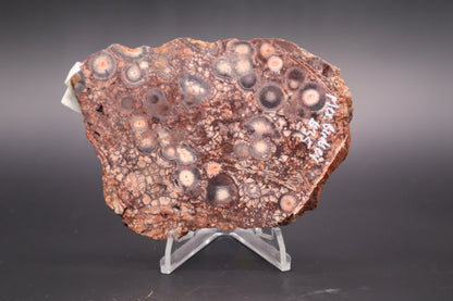 Mexican Birdseye Jasper slab (Unpolished)