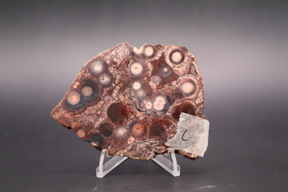 Mexican Birdseye Jasper slab (Unpolished)
