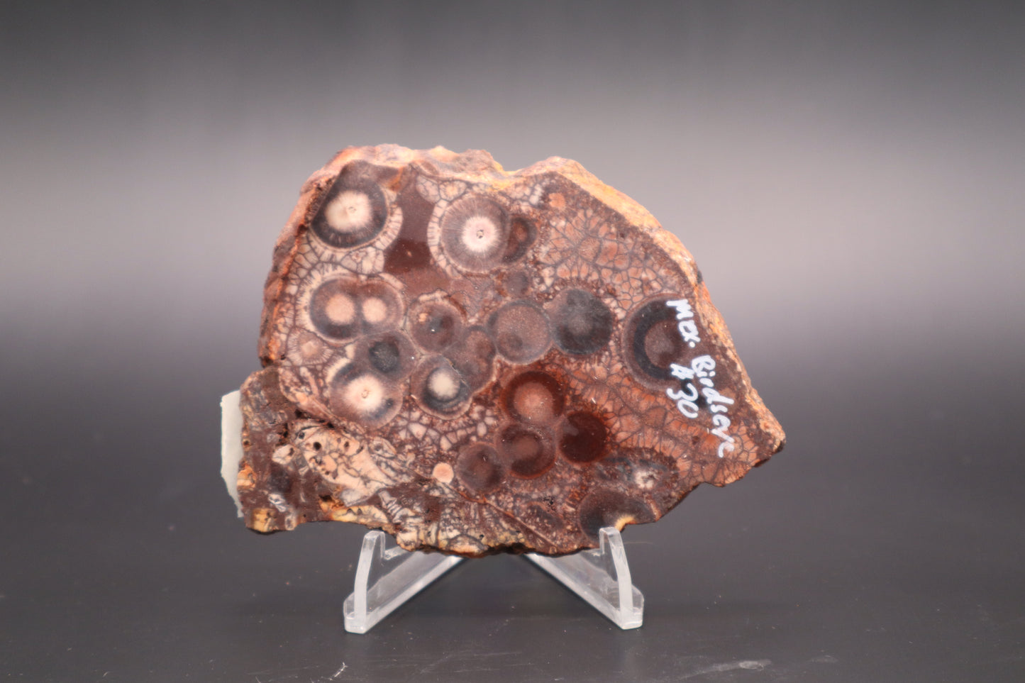 Mexican Birdseye Jasper slab (Unpolished)