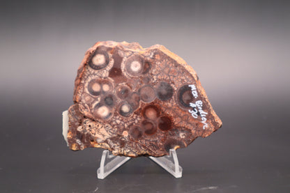 Mexican Birdseye Jasper slab (Unpolished)