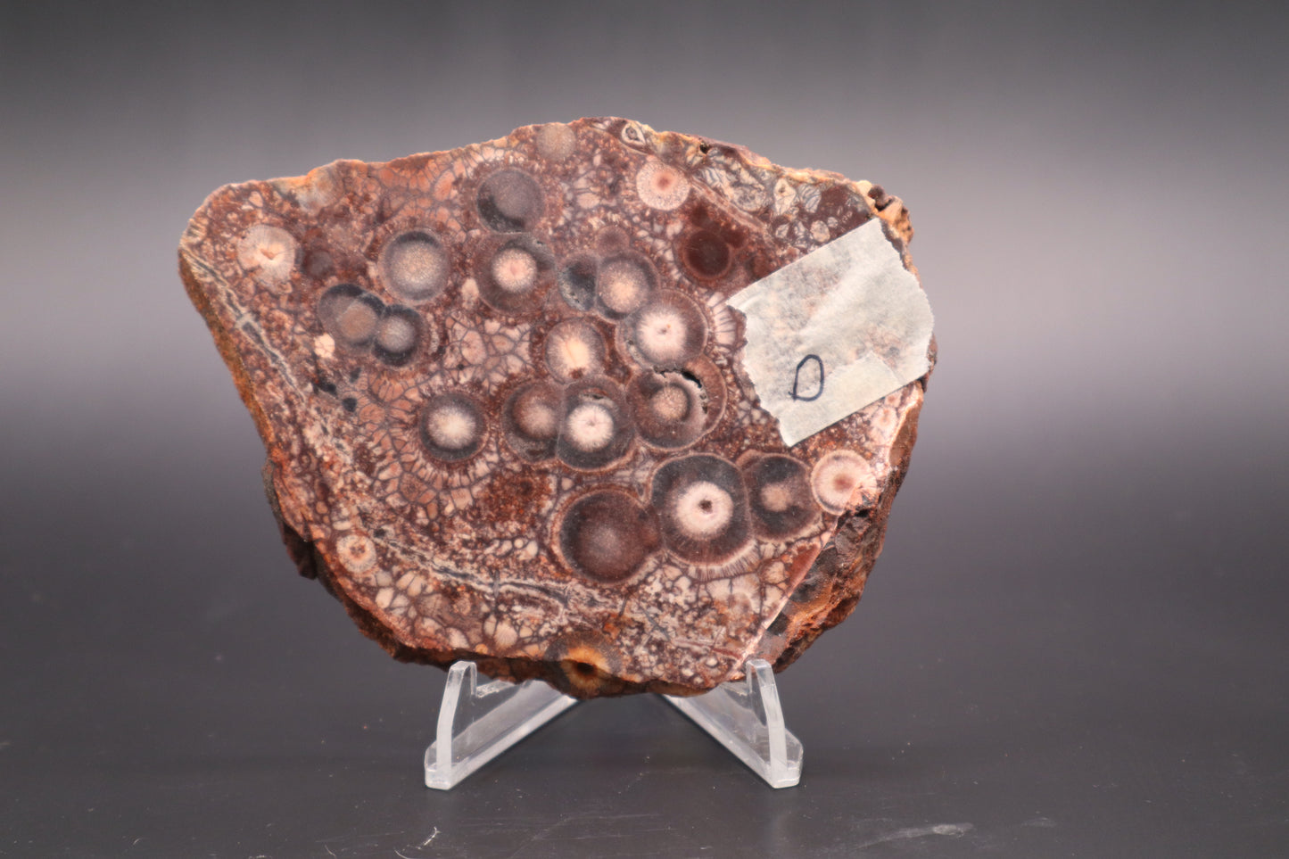 Mexican Birdseye Jasper slab (Unpolished)