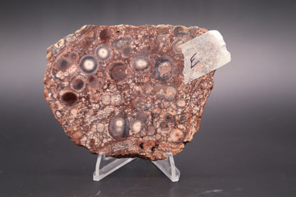 Mexican Birdseye Jasper slab (Unpolished)