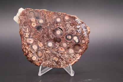 Mexican Birdseye Jasper slab (Unpolished)