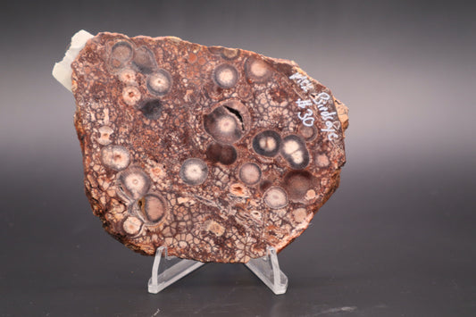 Mexican Birdseye Jasper slab (Unpolished)