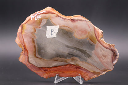 Polychrome Jasper slab (Unpolished)