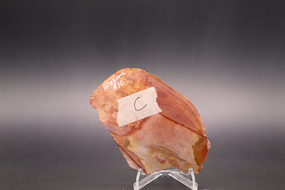 Polychrome Jasper slab (Unpolished)
