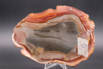 Polychrome Jasper slab (Unpolished)